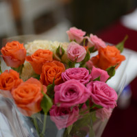 Новости и события | фото №